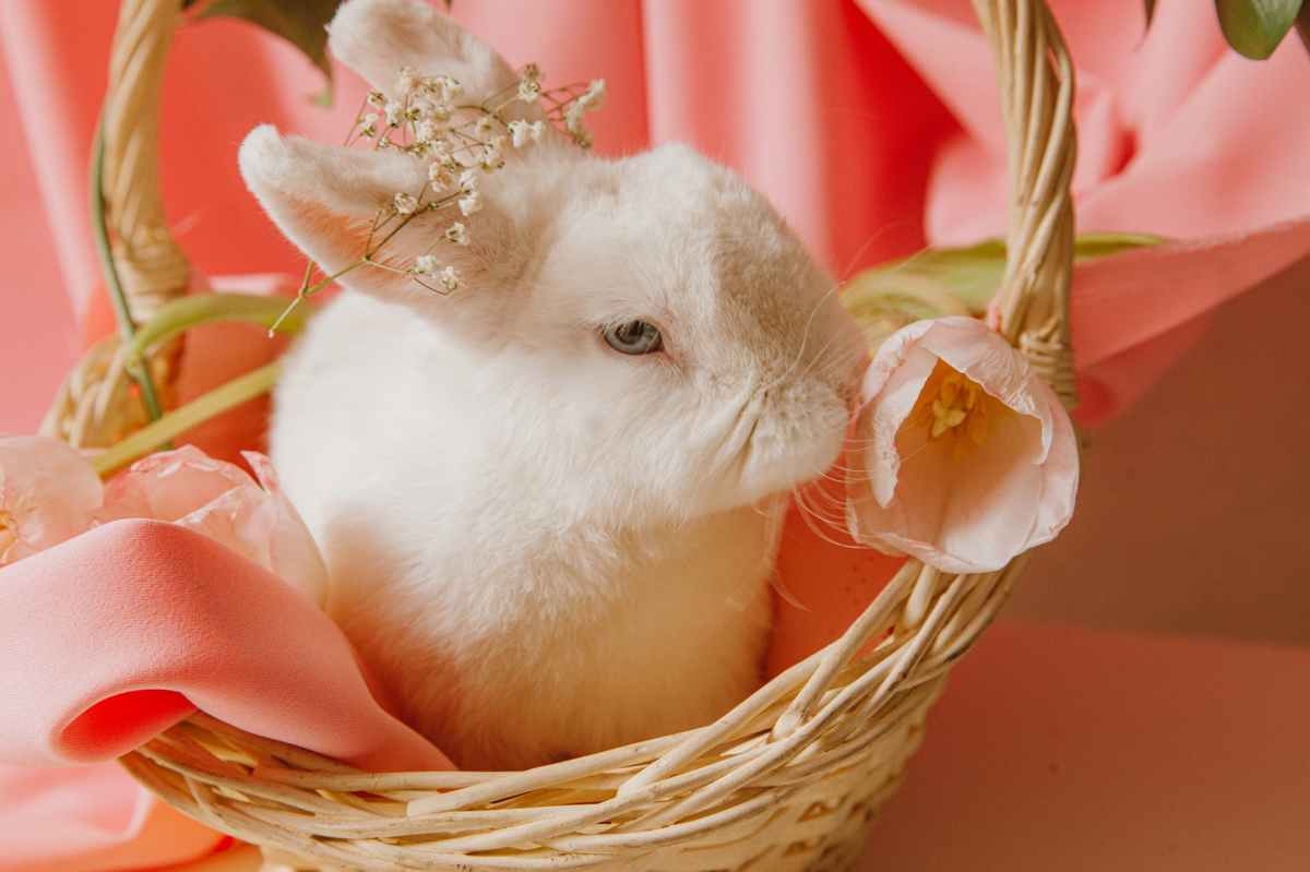 The cutest gifts to send this Easter